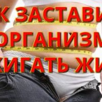 Как правильно сжигать жир?