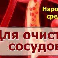 Детокс очищение организма в домашних условиях