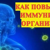 Как повысить иммунитет организма?