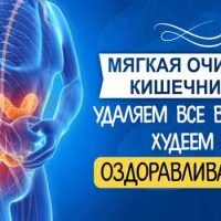 Как быстро похудеть в домашних условиях без диет?