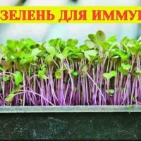Как повысить иммунитет домашними средствами